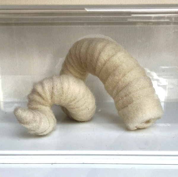 Sarah Bennett: Cornu Cutaneum 2026